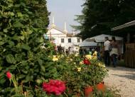 Mostra-mercato Vanzo Floreale 2009